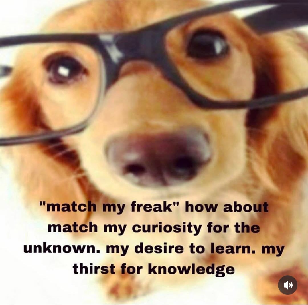 WhatsApp Image 2026-01-05 at 2.43.35 AM (3).jpeg